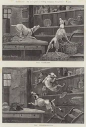 Les prémisses et les conséquences